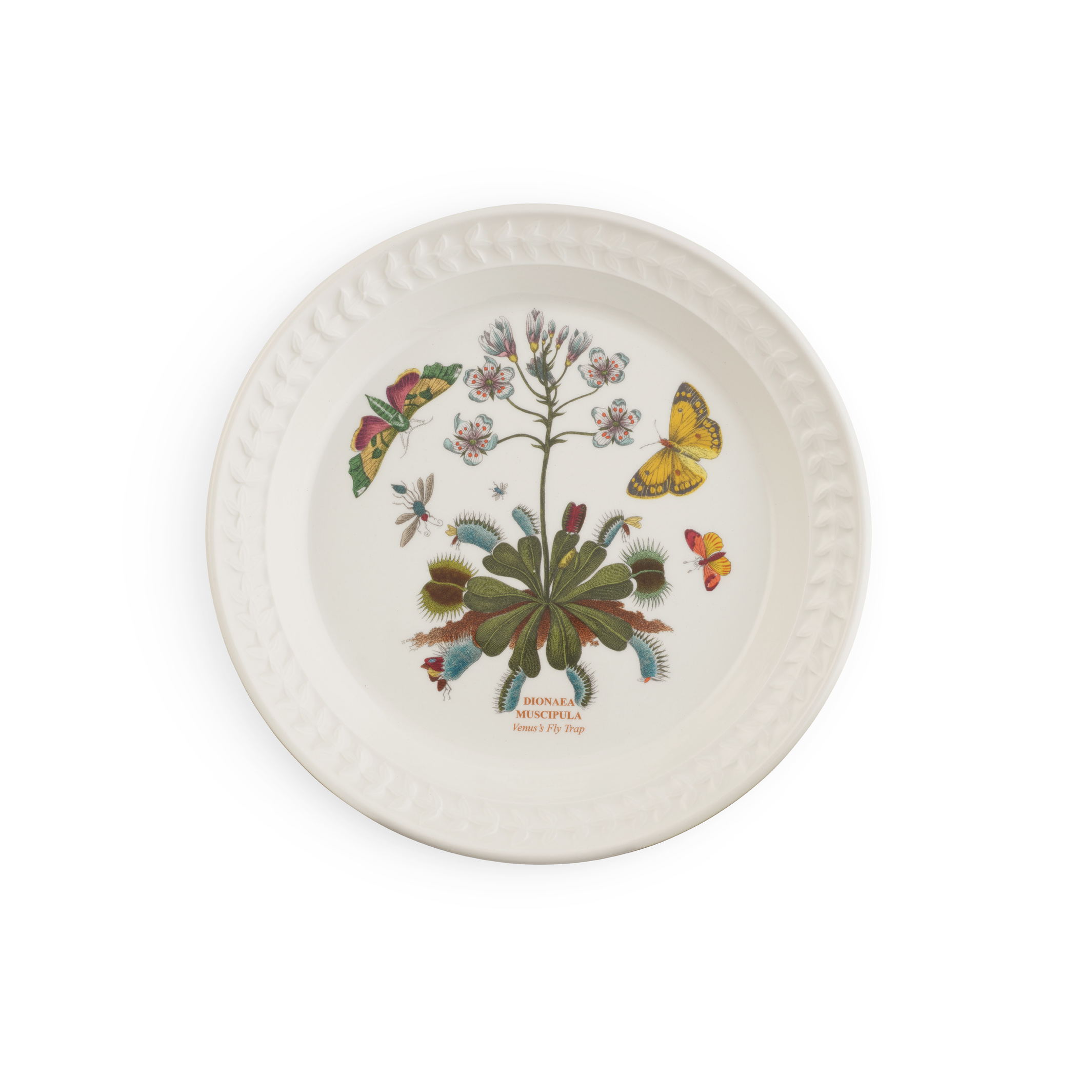 Botanic Garden Papilio Amber set of 4 Side Plates image number null